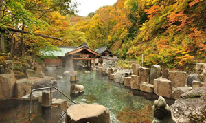 宝川温泉 汪泉阁