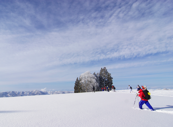 Nozawa Onsen Ski Resort