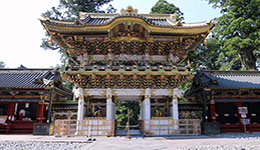 日光特辑