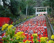千叶县・胜浦市　规模盛大的「胜浦女儿节」