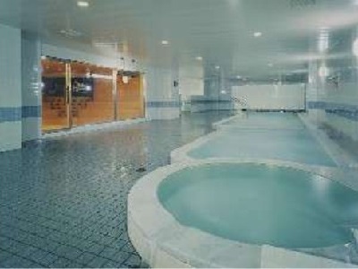 公共温泉（例子）