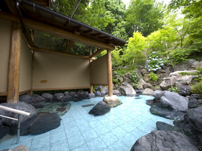 公共温泉（例子）