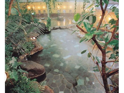 公共温泉（例子）