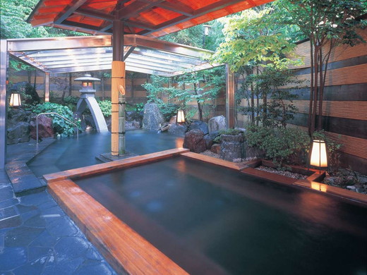 公共温泉（例子）