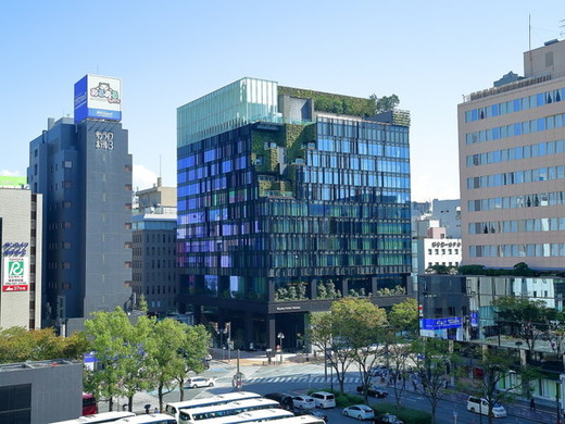 全景 全景