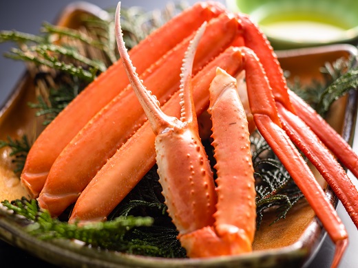 料理