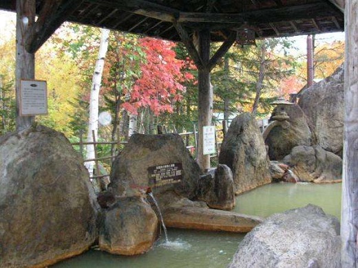 公共温泉（例子）