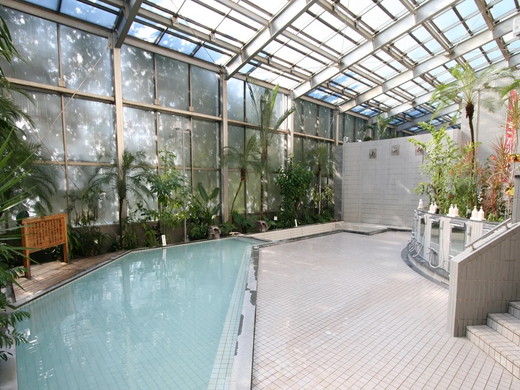 公共温泉（例子）