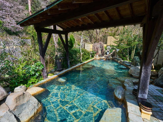 公共温泉（例子）