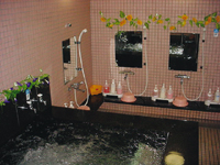 公共温泉（例子）