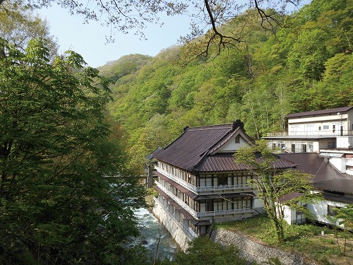 全景 全景