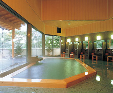 Inside Onsen Image